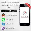 Oddway International - Pharmaceutical Exporter  logo